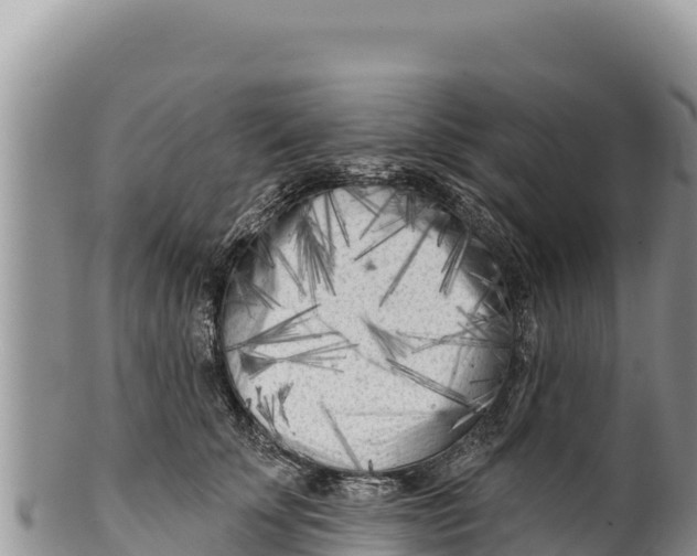 X0000100210707200806201445