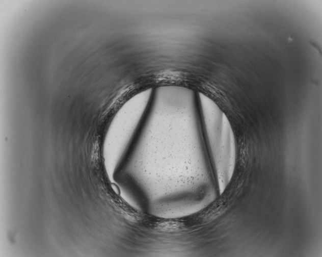 X0000100210708200806201445