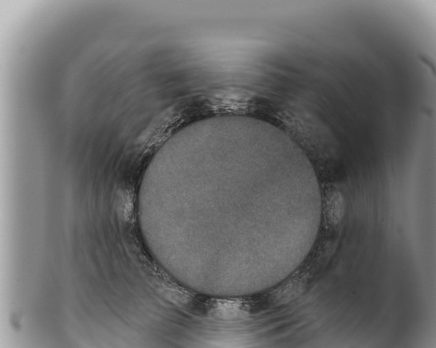 X0000100210709200806201445