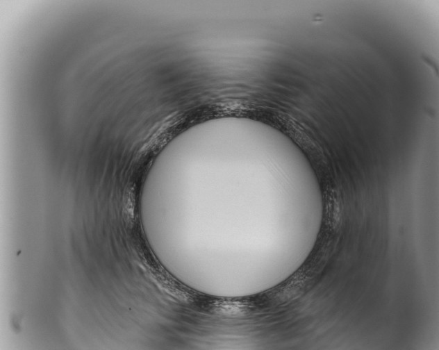 X0000100210710200806201445