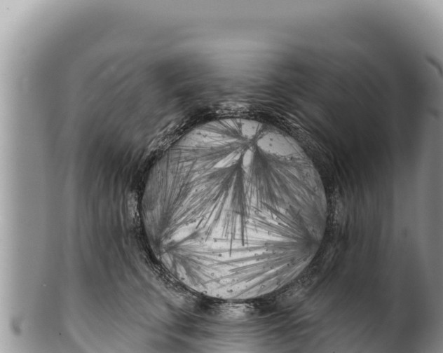 X0000100210711200806201445