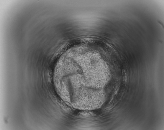 X0000100210712200806201445