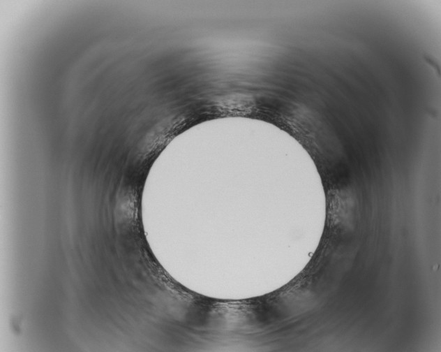 X0000100210713200806201445