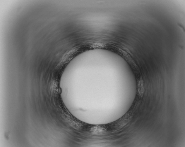 X0000100210714200806201445