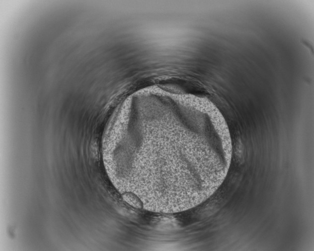 X0000100210715200806201445