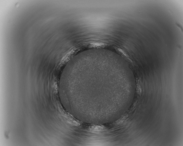 X0000100210716200806201445