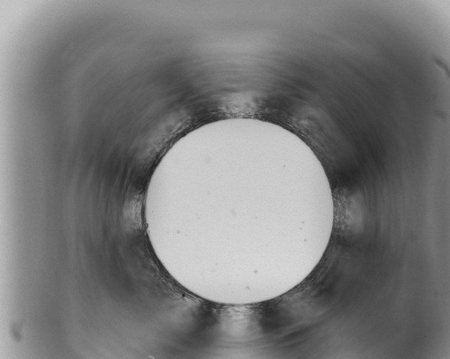 X0000100210717200806201445