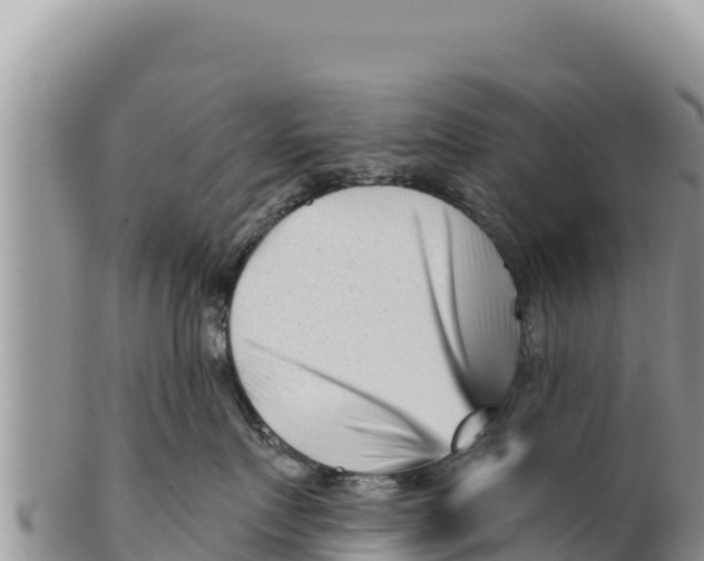 X0000100210719200806201445