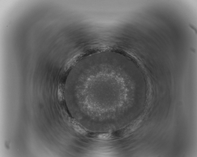 X0000100210720200806201445