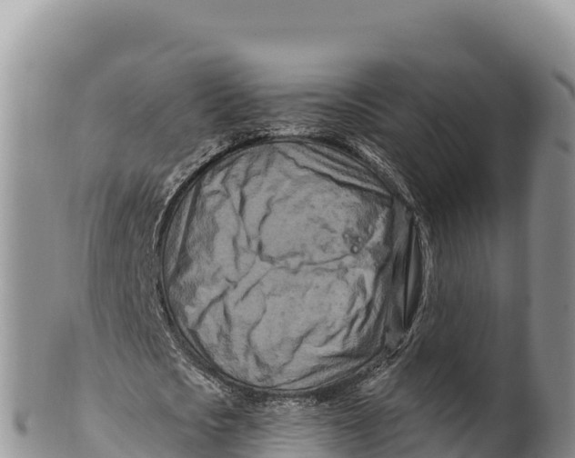 X0000100210721200806201444