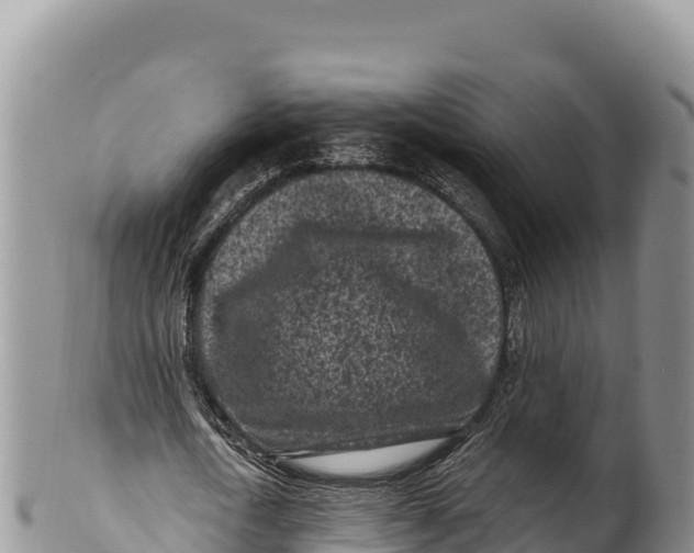 X0000100210722200806201444