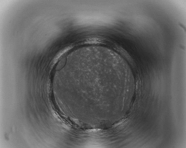 X0000100210724200806201444