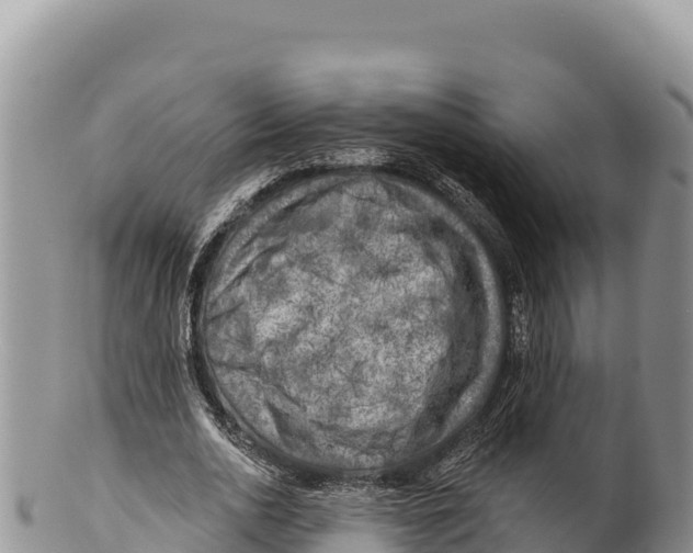 X0000100210726200806201444