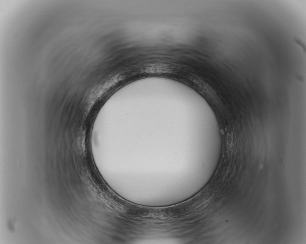 X0000100210727200806201444