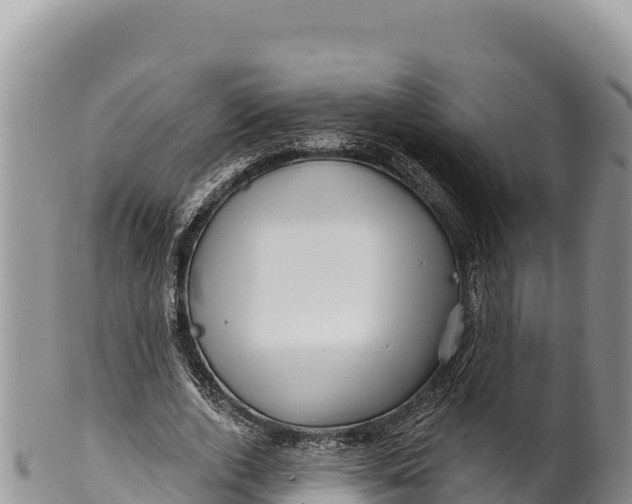 X0000100210728200806201444