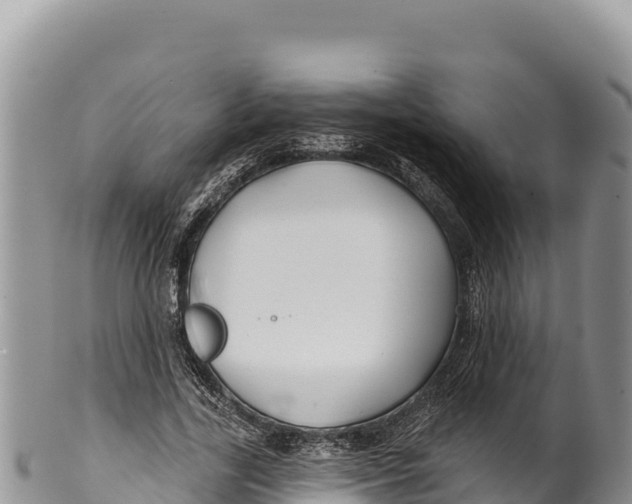 X0000100210731200806201444