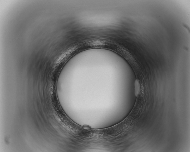 X0000100210732200806201444