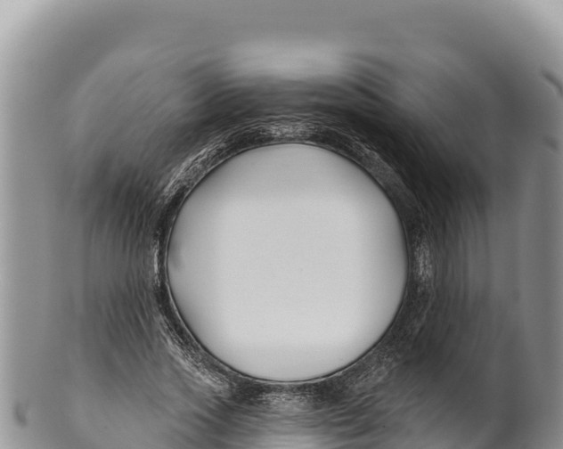 X0000100210733200806201444