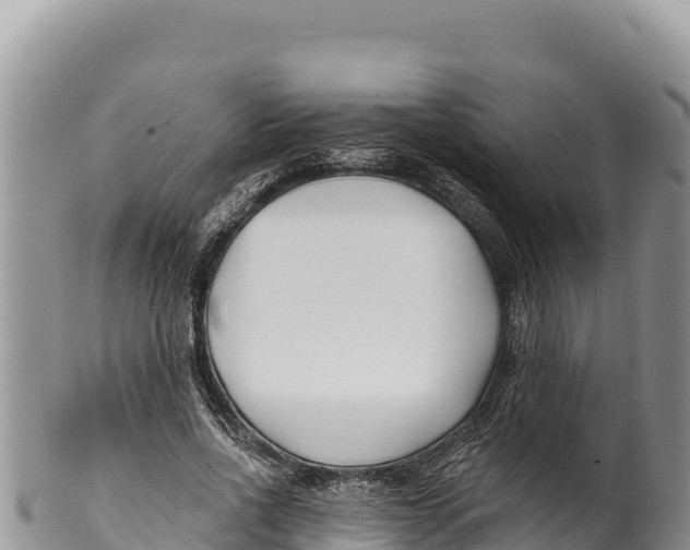 X0000100210734200806201444