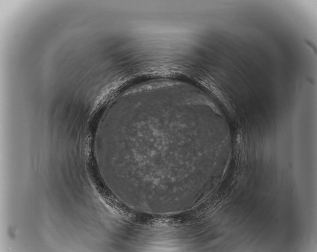 X0000100210736200806201444