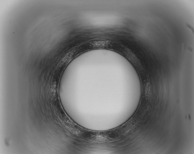 X0000100210737200806201444