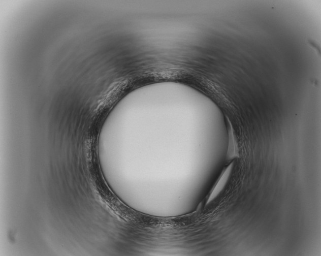 X0000100210738200806201444