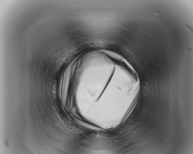 X0000100210739200806201444