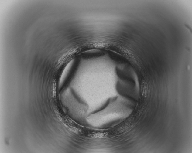 X0000100210740200806201444