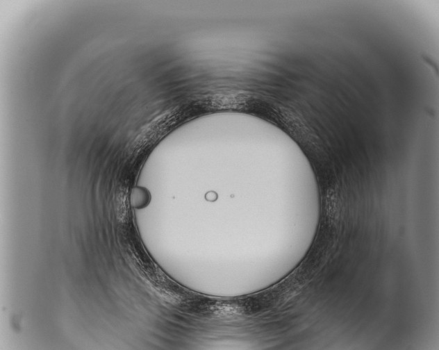 X0000100210741200806201444