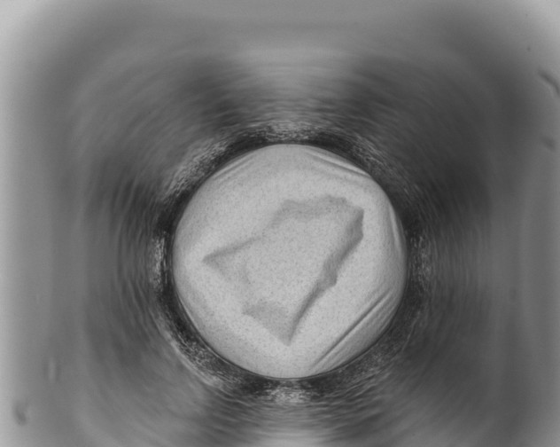 X0000100210742200806201444