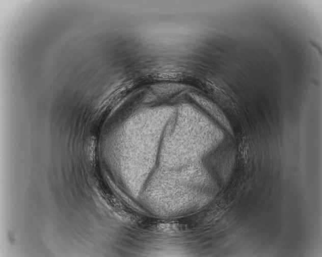 X0000100210744200806201444