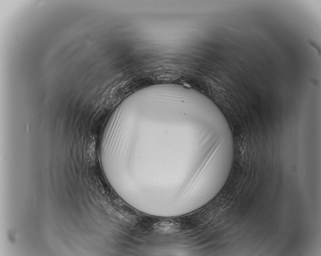 X0000100210745200806201444