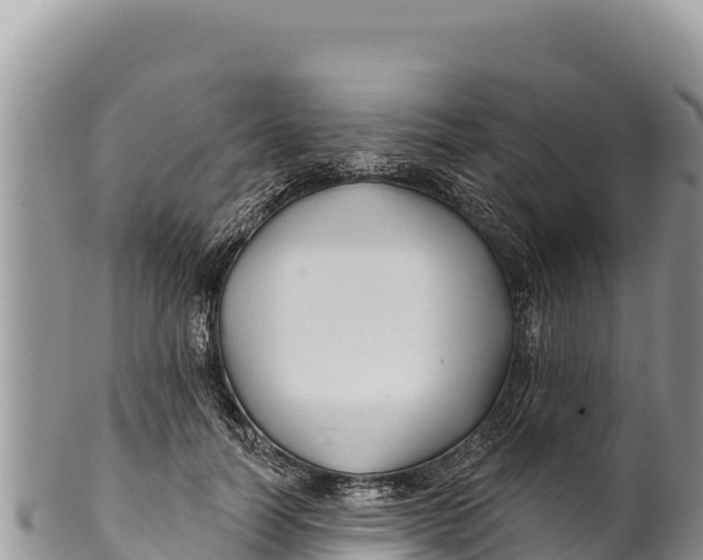 X0000100210746200806201444