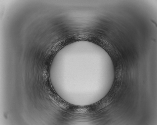 X0000100210749200806201444