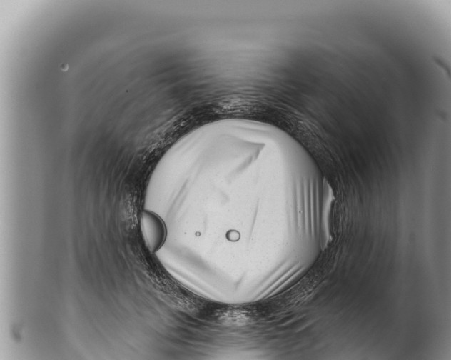 X0000100210751200806201444