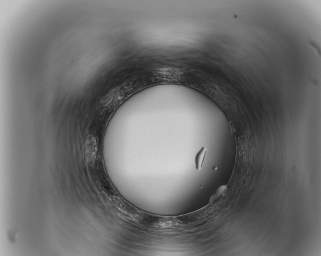 X0000100210752200806201444