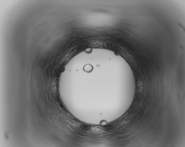 X0000100210753200806201444