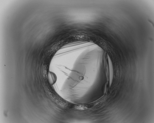 X0000100210754200806201444