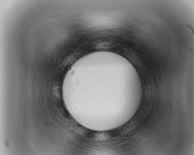 X0000100210755200806201444