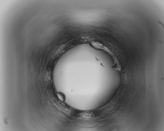 X0000100210756200806201444