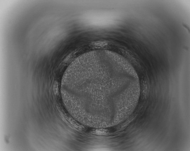 X0000100210758200806201445