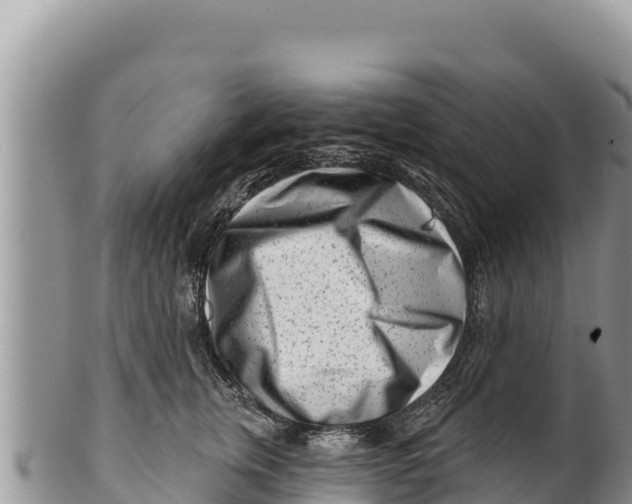 X0000100210759200806201445