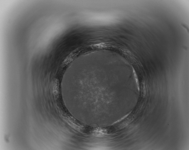 X0000100210760200806201445