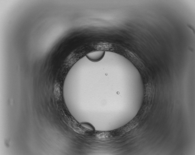 X0000100210761200806201445