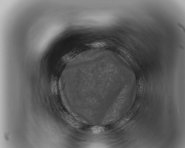 X0000100210762200806201445