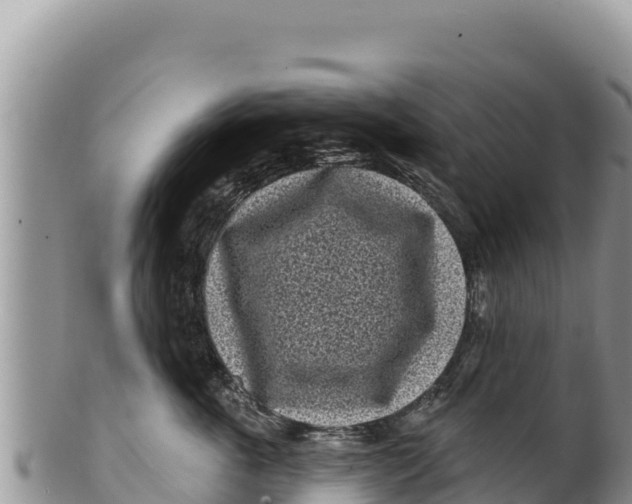 X0000100210763200806201445