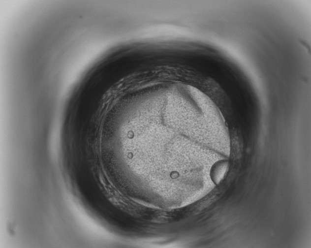 X0000100210765200806201445