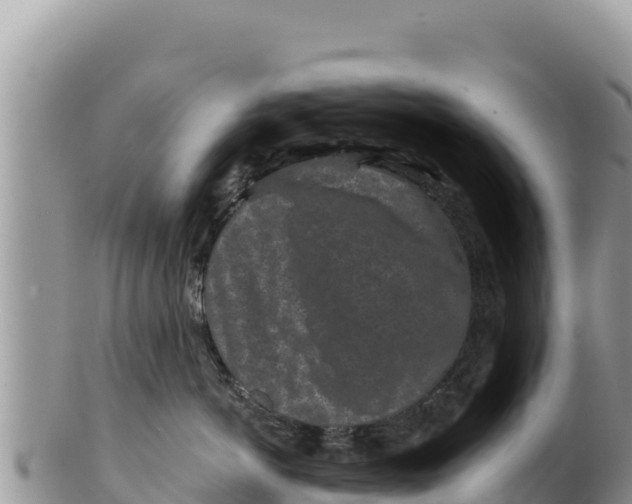 X0000100210766200806201445