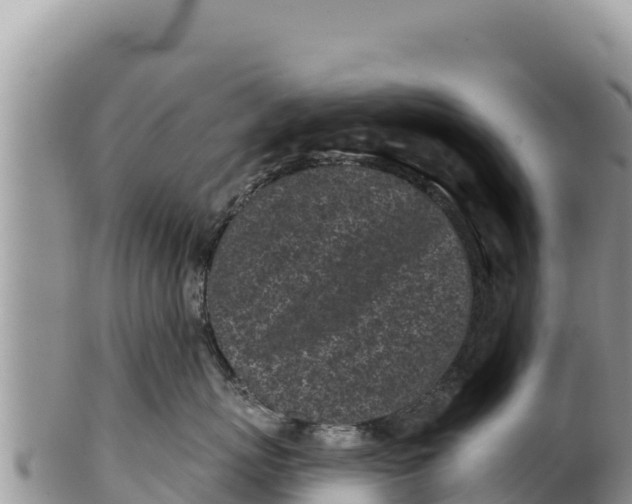 X0000100210767200806201445