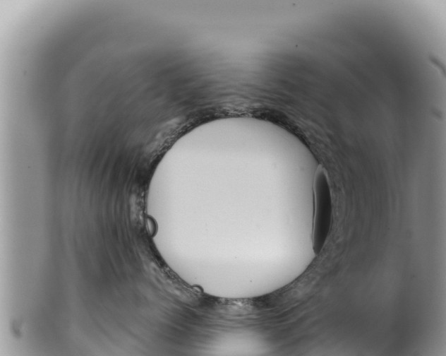 X0000100210768200806201445